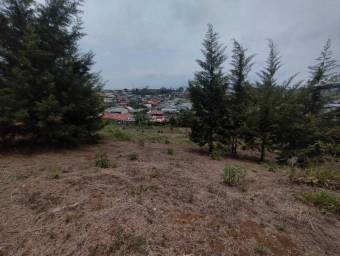 MLS-24-1722 VENTA LOTE DE 17000M2 SAN RAMÓN ALAJUELA