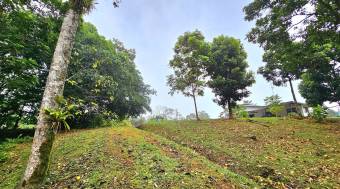 Venta de Lote en Guápiles, Limón