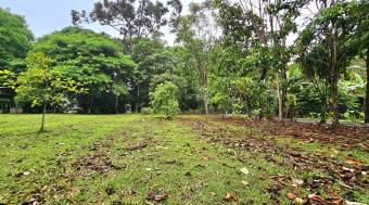 Venta de Lote en Guápiles, Limón