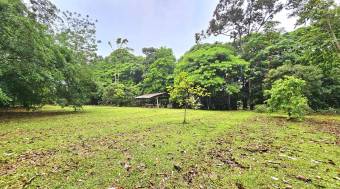 Venta de Lote en Guápiles, Limón
