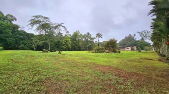 Venta de Lote en Guápiles, Limón
