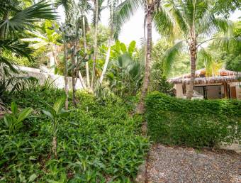 FOR SALE by owner 3 Beautiful Independent Units in MAL PAIS. Jungle&Ocean View 200mts. to the Beach FOR SALE by owner 3 Beautiful Independent Units in MAL PAIS. Jungle&Ocean View 200mts. to the Beach