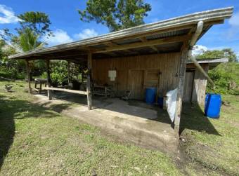  40-Hectare Farm with Award-Winning Organic Cocoa Production, $ 1,299,000, 1, Guanacaste, Santa Cruz