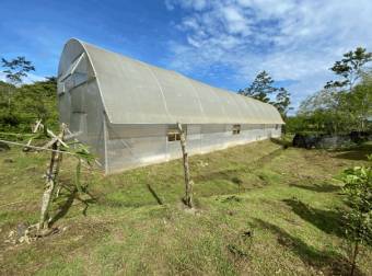  40-Hectare Farm with Award-Winning Organic Cocoa Production, $ 1,299,000, 1, Guanacaste, Santa Cruz
