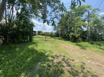 Amplia Finca el Dorado en San Carlos, Alajuela- Ideal Para Pyoyecto e Inversion