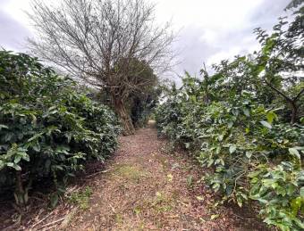 Venta de Casa, San Rafael Arriba Desamparados Excelente Ubicación.  Lote 121.93 m2               