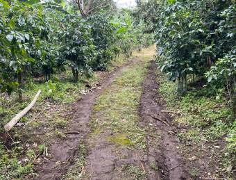 Venta de Casa, San Rafael Arriba Desamparados Excelente Ubicación.  Lote 121.93 m2               