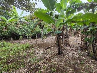 MLS-25-402 LS VENTA LOTE SAN RAFAEL HEREDIA