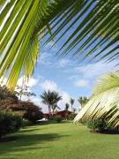 Te presentamos esta espectacular propiedad con terreno de 2033 metros cuadrados en Barrio Orotina, L Te presentamos esta espectacular propiedad con terreno de 2033 metros cuadrados en Barrio Orotina, L