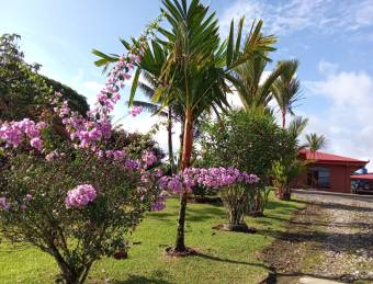 Te presentamos esta espectacular propiedad con terreno de 2033 metros cuadrados en Barrio Orotina, L Te presentamos esta espectacular propiedad con terreno de 2033 metros cuadrados en Barrio Orotina, L