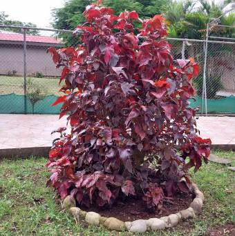 La Casa Perfecta Para Tu Familia Espera Por Ti. La Casa Perfecta Para Tu Familia Espera Por Ti.