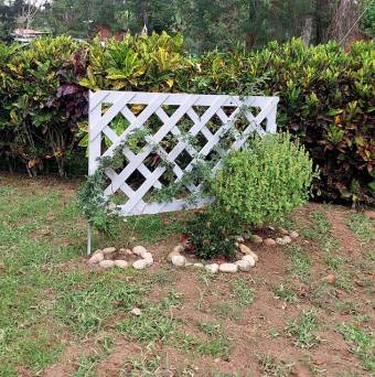 La Casa Perfecta Para Tu Familia Espera Por Ti. La Casa Perfecta Para Tu Familia Espera Por Ti.