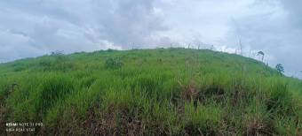 1 hectárea con vistas panorámicas en Sabanillas de Limoncito, Coto Brus, Puntarenas, Costa Rica. 1 hectárea con vistas panorámicas en Sabanillas de Limoncito, Coto Brus, Puntarenas, Costa Rica.