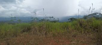 1 hectárea con vistas panorámicas en Sabanillas de Limoncito, Coto Brus, Puntarenas, Costa Rica. 1 hectárea con vistas panorámicas en Sabanillas de Limoncito, Coto Brus, Puntarenas, Costa Rica.