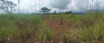 1 hectárea con vistas panorámicas en Sabanillas de Limoncito, Coto Brus, Puntarenas, Costa Rica. 1 hectárea con vistas panorámicas en Sabanillas de Limoncito, Coto Brus, Puntarenas, Costa Rica.