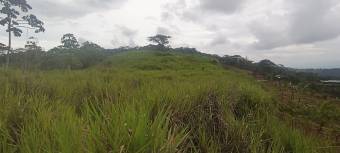 1 hectárea con vistas panorámicas en Sabanillas de Limoncito, Coto Brus, Puntarenas, Costa Rica. 1 hectárea con vistas panorámicas en Sabanillas de Limoncito, Coto Brus, Puntarenas, Costa Rica.