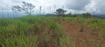 1 hectárea con vistas panorámicas en Sabanillas de Limoncito, Coto Brus, Puntarenas, Costa Rica. 1 hectárea con vistas panorámicas en Sabanillas de Limoncito, Coto Brus, Puntarenas, Costa Rica.