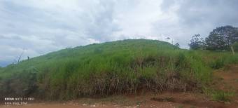 1 hectárea con vistas panorámicas en Sabanillas de Limoncito, Coto Brus, Puntarenas, Costa Rica. 1 hectárea con vistas panorámicas en Sabanillas de Limoncito, Coto Brus, Puntarenas, Costa Rica.