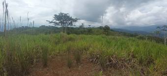 1 hectárea con vistas panorámicas en Sabanillas de Limoncito, Coto Brus, Puntarenas, Costa Rica. 1 hectárea con vistas panorámicas en Sabanillas de Limoncito, Coto Brus, Puntarenas, Costa Rica.