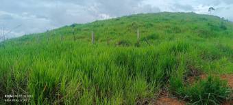 1 hectárea con vistas panorámicas en Sabanillas de Limoncito, Coto Brus, Puntarenas, Costa Rica. 1 hectárea con vistas panorámicas en Sabanillas de Limoncito, Coto Brus, Puntarenas, Costa Rica.