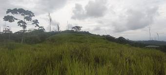 1 hectárea con vistas panorámicas en Sabanillas de Limoncito, Coto Brus, Puntarenas, Costa Rica. 1 hectárea con vistas panorámicas en Sabanillas de Limoncito, Coto Brus, Puntarenas, Costa Rica.