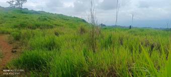 1 hectárea con vistas panorámicas en Sabanillas de Limoncito, Coto Brus, Puntarenas, Costa Rica. 1 hectárea con vistas panorámicas en Sabanillas de Limoncito, Coto Brus, Puntarenas, Costa Rica.
