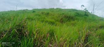 1 hectárea con vistas panorámicas en Sabanillas de Limoncito, Coto Brus, Puntarenas, Costa Rica. 1 hectárea con vistas panorámicas en Sabanillas de Limoncito, Coto Brus, Puntarenas, Costa Rica.