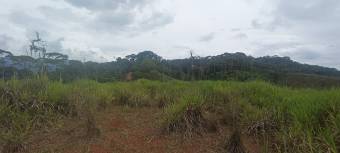 1 hectárea con vistas panorámicas en Sabanillas de Limoncito, Coto Brus, Puntarenas, Costa Rica. 1 hectárea con vistas panorámicas en Sabanillas de Limoncito, Coto Brus, Puntarenas, Costa Rica.