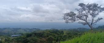 1 hectárea con vistas panorámicas en Sabanillas de Limoncito, Coto Brus, Puntarenas, Costa Rica. 1 hectárea con vistas panorámicas en Sabanillas de Limoncito, Coto Brus, Puntarenas, Costa Rica.