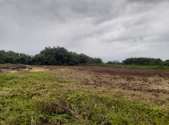 En Venta Terreno en San Bernardino, Rio Frio, Sarapiqui