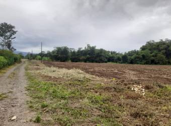 En Venta Terreno en San Bernardino, Rio Frio, Sarapiqui