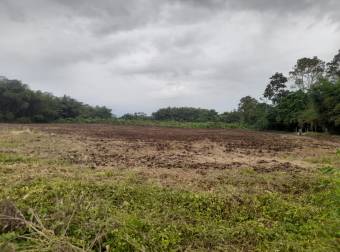 En Venta Terreno en San Bernardino, Rio Frio, Sarapiqui