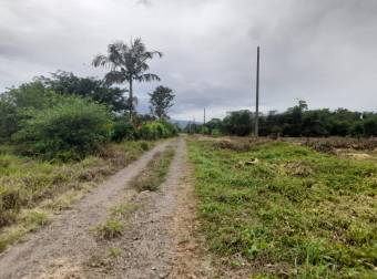 En Venta Terreno en San Bernardino, Rio Frio, Sarapiqui