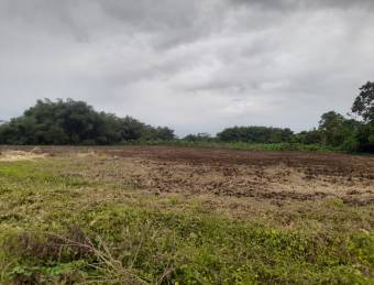 En Venta Terreno en San Bernardino, Rio Frio, Sarapiqui