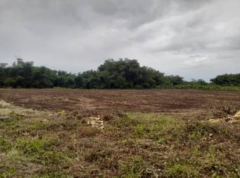 En Venta Terreno en San Bernardino, Rio Frio, Sarapiqui