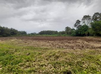 En Venta Terreno en San Bernardino, Rio Frio, Sarapiqui