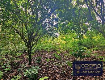 FINCA PARA DESARROLLO COMERCIAL - RESIDENCIAL  ATENAS, ALAJUELA #20503klps