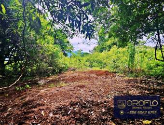 FINCA PARA DESARROLLO COMERCIAL - RESIDENCIAL  ATENAS, ALAJUELA #20503klps