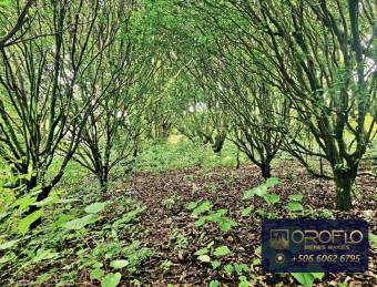 FINCA PARA DESARROLLO COMERCIAL - RESIDENCIAL  ATENAS, ALAJUELA #20503klps