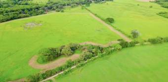 Grow Your Wealth 10 Hectares of Prime Guanacaste Land for IInvestment