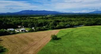 Grow Your Wealth 10 Hectares of Prime Guanacaste Land for IInvestment