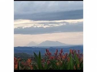 VENTA DE FINCA CON RESTAURANTE EN OPERACIÓN, ALAJUELA, UPALA, BIJAGUA