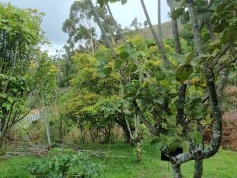 MLS-25-1866 LS VENTA FINCA CON CASA  DOTA SAN JOSE