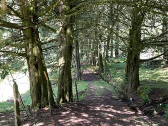 MLS-25-1866 LS VENTA FINCA CON CASA  DOTA SAN JOSE