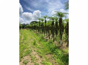 VENTA DE QUINTA EN ALAJUELA, GRECIA, RIO CUARTO VENTA DE QUINTA EN ALAJUELA, GRECIA, RIO CUARTO