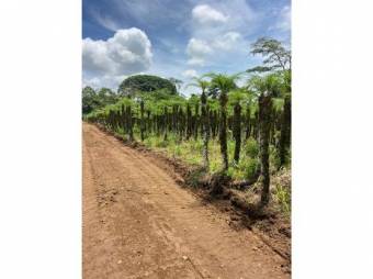 VENTA DE QUINTA EN ALAJUELA, GRECIA, RIO CUARTO VENTA DE QUINTA EN ALAJUELA, GRECIA, RIO CUARTO