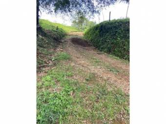 VENTA DE QUINTA EN ALAJUELA, GRECIA, RIO CUARTO VENTA DE QUINTA EN ALAJUELA, GRECIA, RIO CUARTO