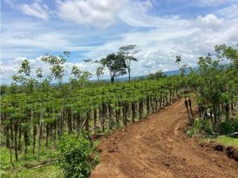 VENTA DE QUINTA EN ALAJUELA, GRECIA, RIO CUARTO