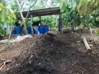  Finca de cacao orgánico de prestigio en venta