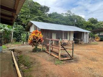 VENTA DE FINCA, HEREDIA, SARAPIQUÍ, GOLFITO, LA CUREÑA  